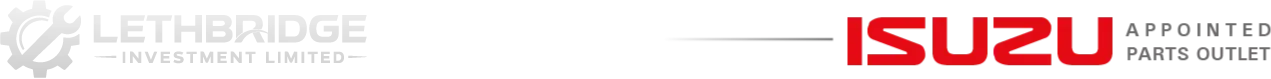 Wide Footer Logo